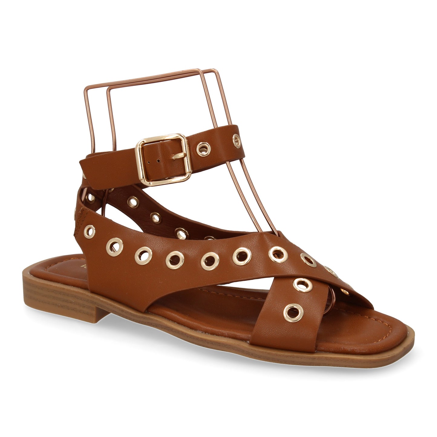2287-Camel